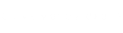Olive Motor Group Olive Motor Group
